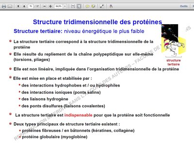 structure des protéines.jpg