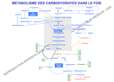 Capture d’écran 2015-10-21 à 22.38.48.png