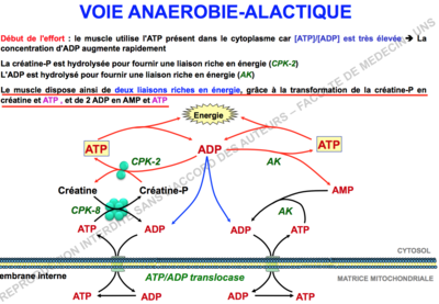 Capture d’écran 2015-10-30 à 10.07.31.png