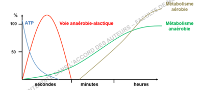 Capture d’écran (409).png