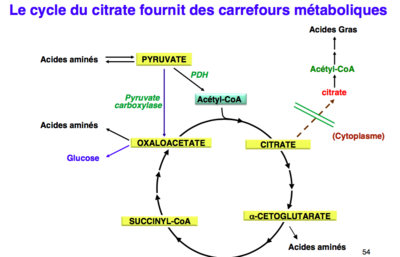 Capture d’écran 2015-12-05 à 09.53.56.png