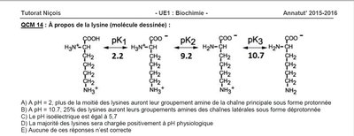 QCM 14 annatut Proteine.jpg