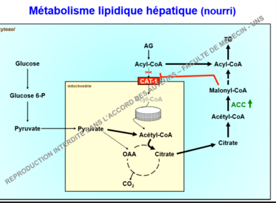 Capture d’écran (457).png