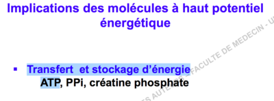 Capture d’écran 2015-12-11 à 11.15.04.png