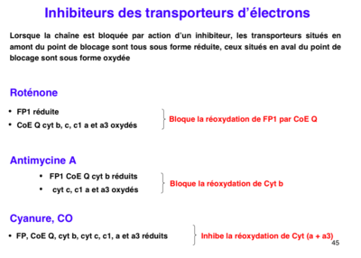 Capture d’écran 2015-12-11 à 22.20.06.png