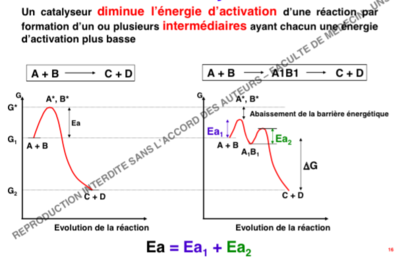 Capture d’écran 2015-12-16 à 10.31.27.png