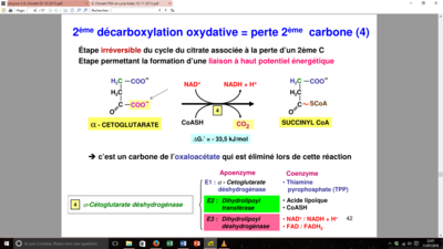 Capture d’écran (34).png