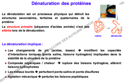 Capture d’écran 2016-10-01 à 22.07.27.png