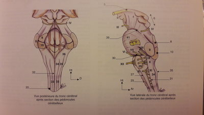 20170203_184203.jpg