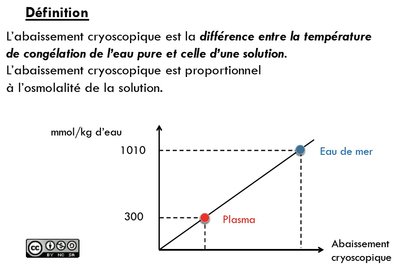 tutorat 3.jpg