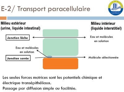 tutorat 7.jpg