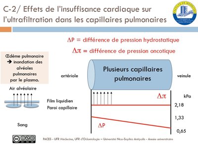 tutorat 8.jpg