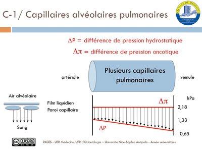 tutorat 9.jpg