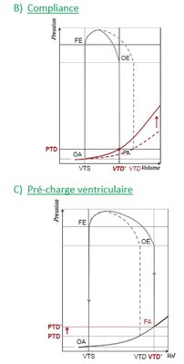 tutorat 10.jpg