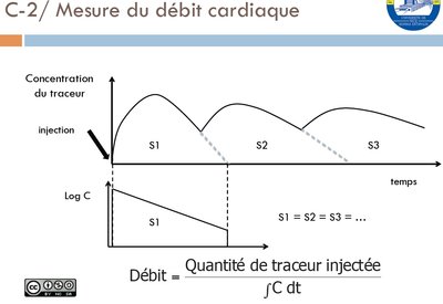 tutorat 11.jpg