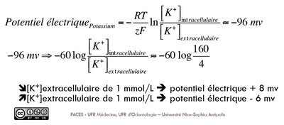 tutorat 13.jpg