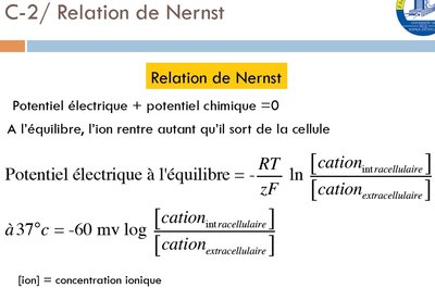 tutorat 14.jpg