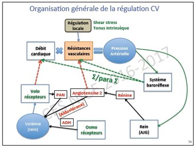 tutorat 16.jpg