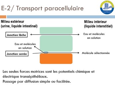 tutorat 20.jpg