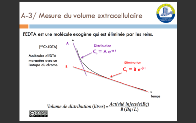 activité injectée.png