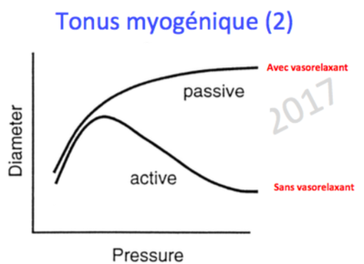 Sans titre1.png