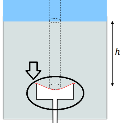 chambre paroi déformable.png