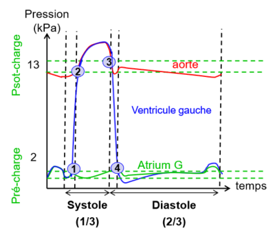 biophy-cardiaque_graphique-pression-temps.png