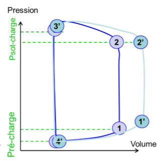 biophy-cardiaque_graphique-pression-volume_augmentation-VTD.png