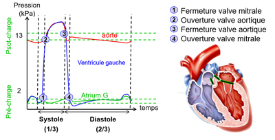 biophy-cardiaque_pression-temps_original.png