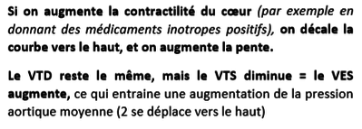 biophy-cardiaque_contractilité-volumes.png