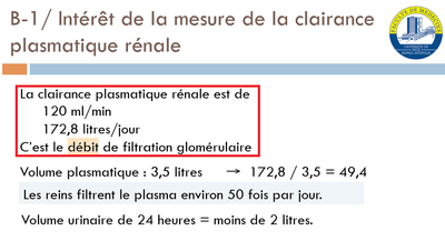 compartiments_DFG-clairance-plasmatique-renale.png