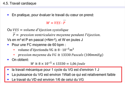 biophy-cardiaque_travail-puissance.png