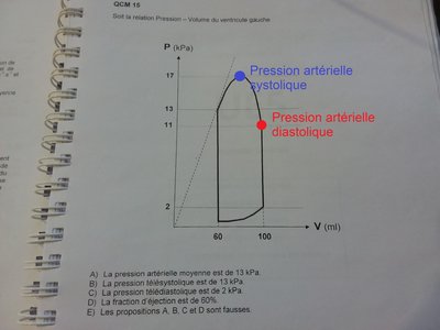 biophy-cardiaque_presion-arterielle.jpg