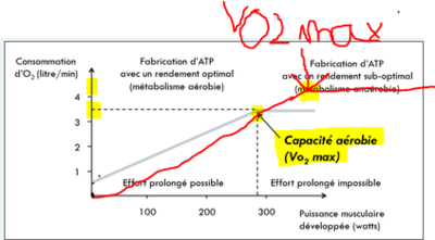 vo2max.PNG