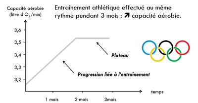 compartiments_VO2max.png