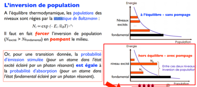 Stat de Bobo le bro.png