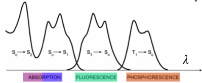 Luminescence moléculaire abs-fluo-phospho.png