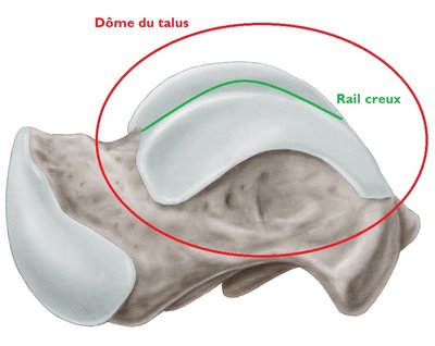 talus rail creux.jpg