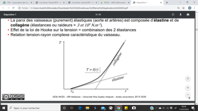 Capture d’écran (17).png