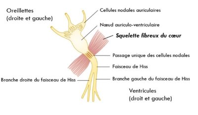 2020-04-20 (2)_LI.jpg