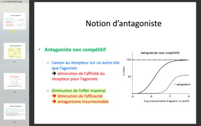 Capture d’écran 2020-06-06 à 12.20.35.png