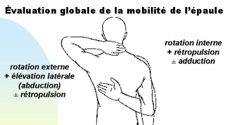 mobilité.jpeg