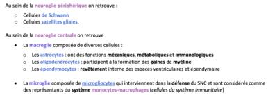 Capture d’écran 2020-10-12 à 17.00.05.png