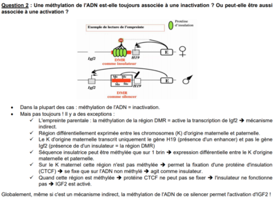 ADN méthylé inactivé.PNG