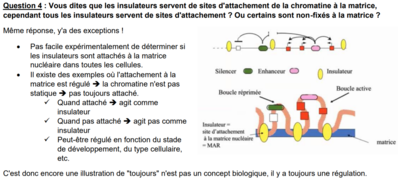 Rep à Brandolip.PNG