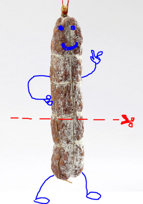 Coupe transversale like a saucisson.png