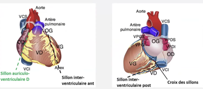 Sans titre.png