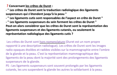 Capture d’écran 2021-01-19 à 19.24.55.png