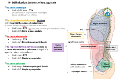 Délimitations.PNG