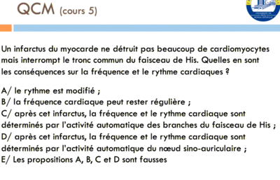 Capture d’écran 2021-02-07 à 11.35.03.png